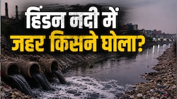 NCR की जीवनदायिनी हिंडन नदी कैसे बनी 'जहरीला नाला'? जानिए कैसे घुटा हरनंदी का दम!