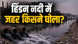 NCR की जीवनदायिनी हिंडन नदी कैसे बनी 'जहरीला नाला'? जानिए कैसे घुटा हरनंदी का दम!