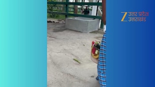 गजराज और भालू का फ्रूट आइसक्रीम खाते हुए वीडियो वायरल, गोरखपुर प्रशासन ने गर्मी में की जानवरों की मौज