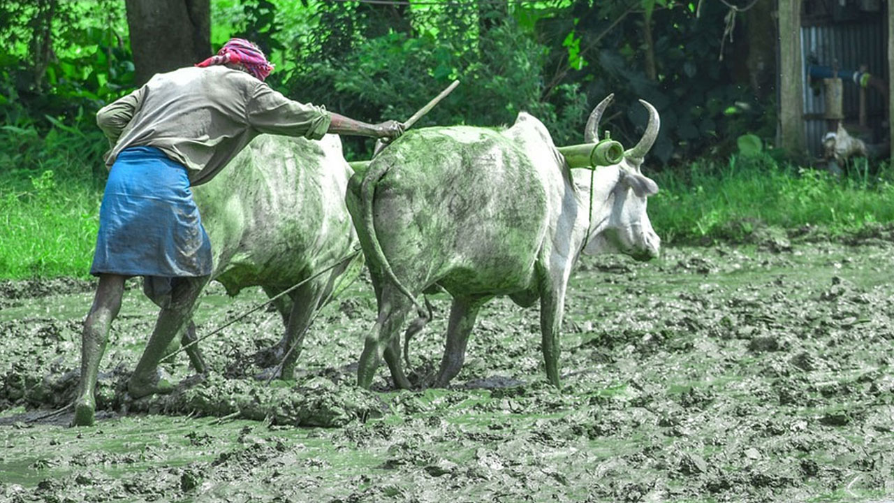 PM Kisan: 20 तारीख को करोड़ों किसानों के खाते में आएंगे 2-2 हजार रुपये, इन किसानों को मिलेंगे 4 हजार