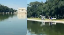 करोड़ों बर्बाद... US के पर्यटन स्थल को देख भड़के पर्यटक, Video सोशल मीडिया वायरल