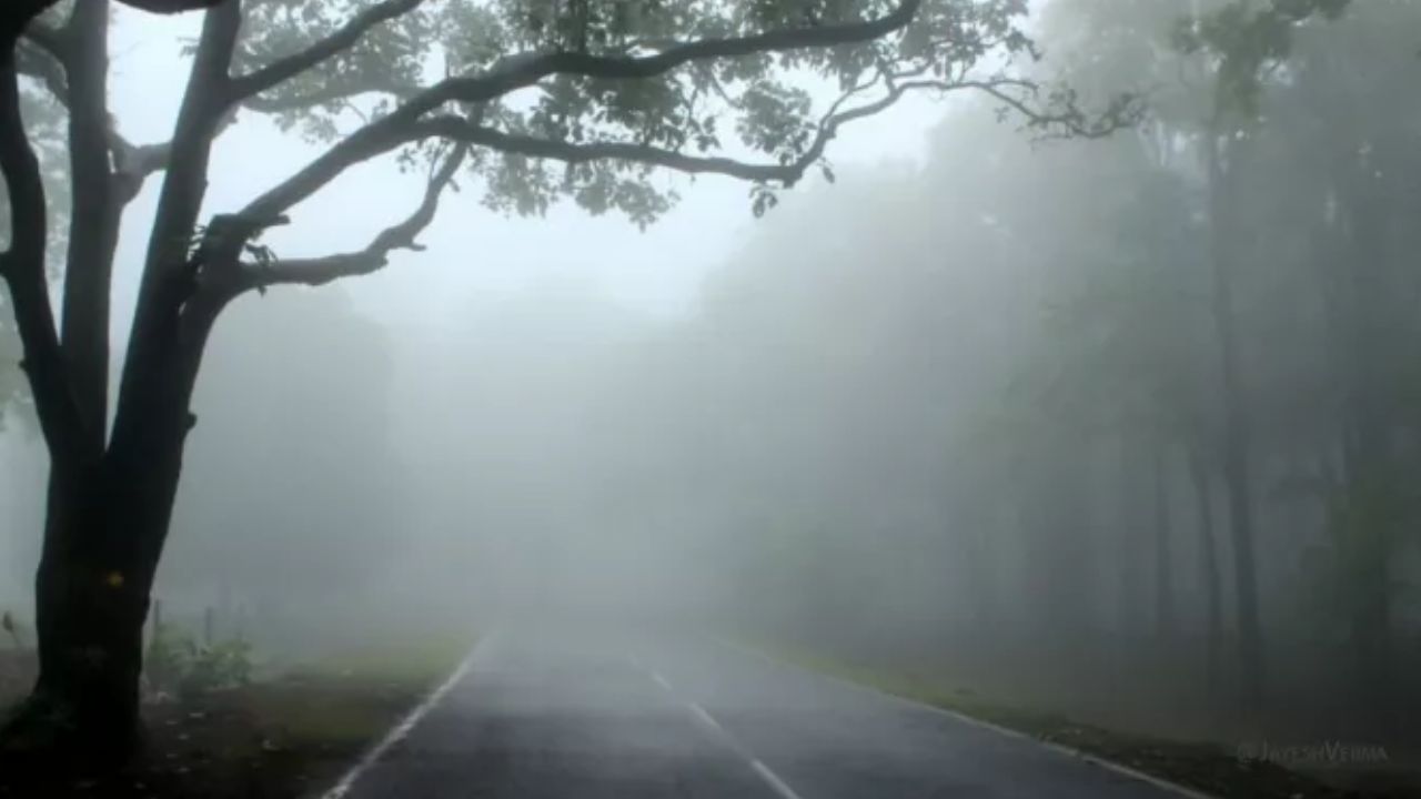 बरसात में बढ़ जाती है खूबसूरती