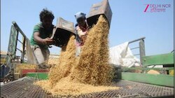 Karnal में धान घोटाले मामले में SIT का बड़ा एक्शन, राइस मिल मालिक गिरफ्तार