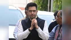 'राजनेताओं की हर आलोचना मानहानि नहीं है', राघव चड्डा की याचिका पर HC की टिप्‍पणी