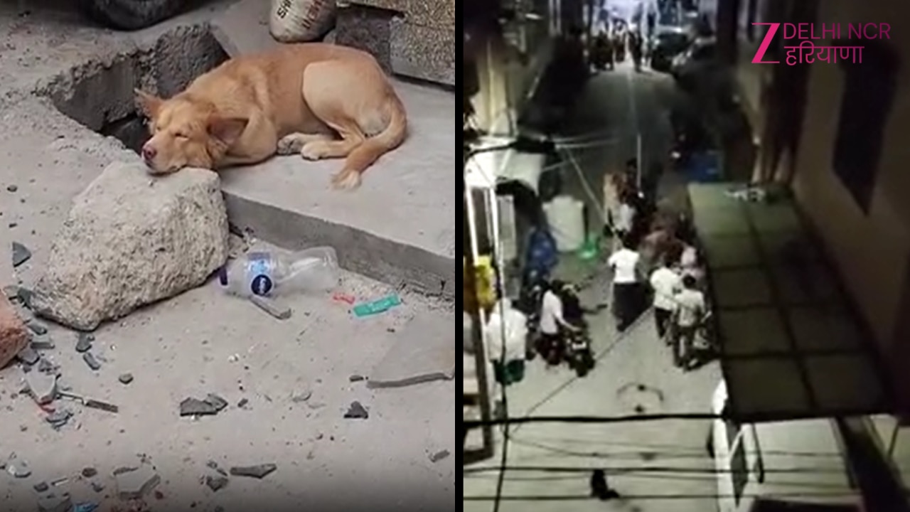 Delhi: बेगमपुर में कुत्ते के हमले के बाद बवाल, दो परिवारों के बीच मारपीट और पथराव