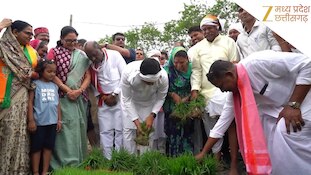 सिर पर गमछा बांधा, खेत में उतरे और फिर धान रोपने लगे मुख्यमंत्री; मोहन यादव का आनोखा अंदाज