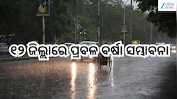 Rain Alert: ଆସୁଛି ଶକ୍ତିଶାଳୀ ଲଘୁଚାପ, ୧୨ ଜିଲ୍ଲାରେ ପ୍ରବଳ ବର୍ଷା ସମ୍ଭାବନା!