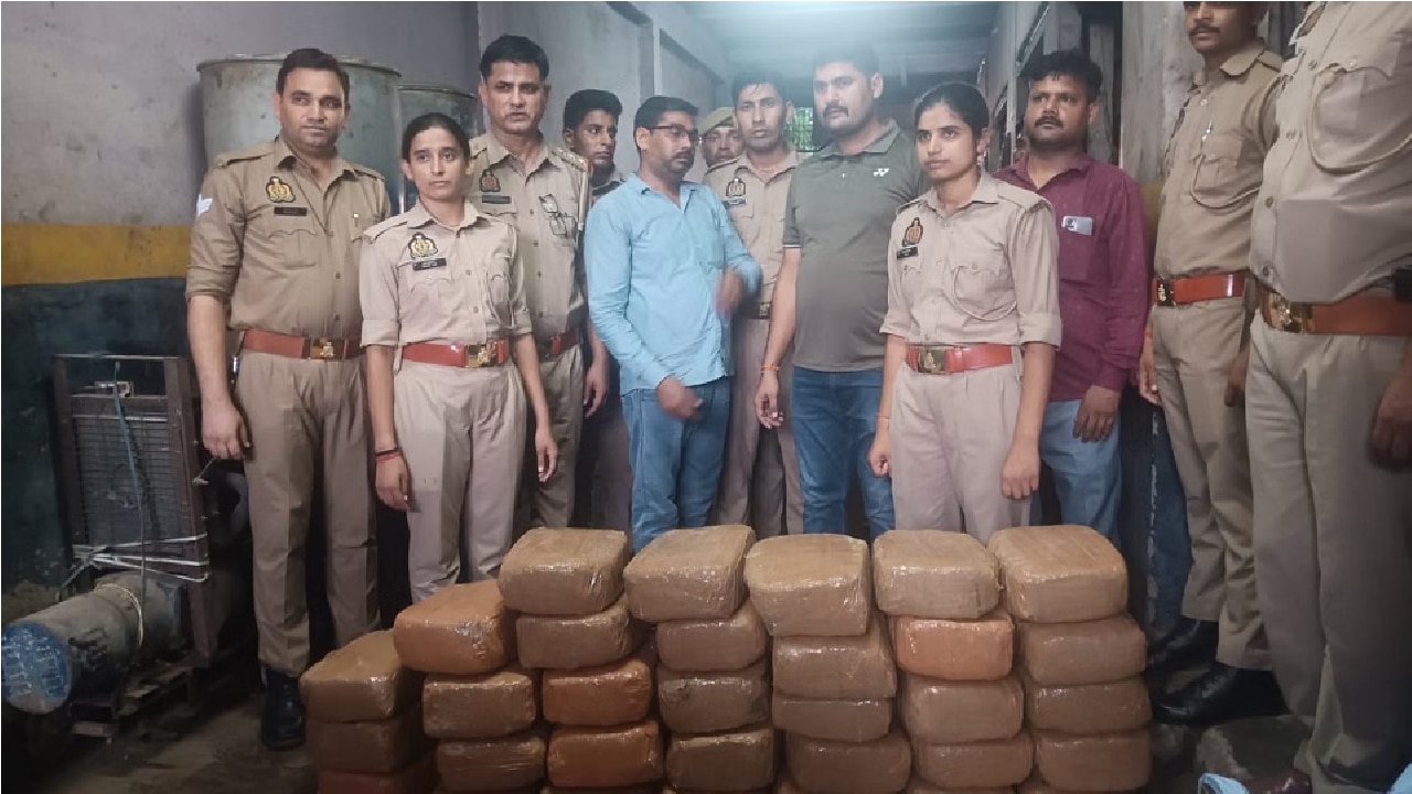 मथुरा में पुलिस और एसटीएफ की बड़ी कार्रवाई, बंद दुकान से 125 किलो गांजा बरामद, मालिक अरेस्ट