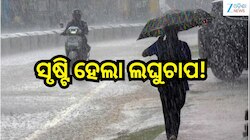 Rain Alert: ସୃଷ୍ଟି ହେଲା ଲଘୁଚାପ! ଏହିସବୁ ଜିଲ୍ଲାରେ ପ୍ରବଳରୁ ଅତି ପ୍ରବଳ ବର୍ଷା ନେଇ ରେଡ୍ ଆଲର