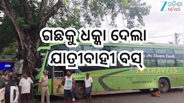 Road Accident:ଗଛକୁ ଧକ୍କା ଦେଲା ଯାତ୍ରୀବାହୀ ବସ୍; ୭ ଜଣ ଆହତ