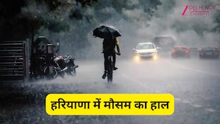 Haryana Weather: हरियाणा में मानसून एक्टिव, कई जिलों में भारी बारिश के आसार; जानें IMD का ताजा अपडेट