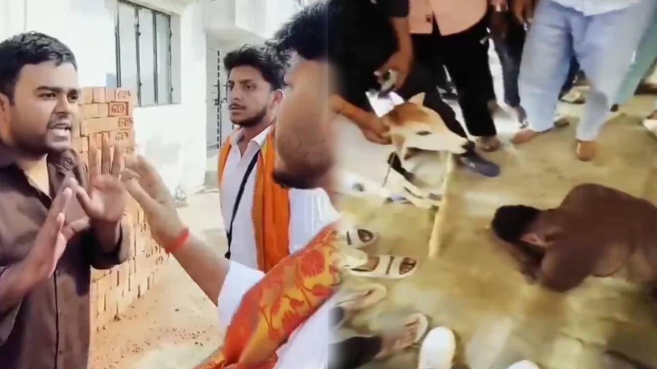 गौरक्षकों ने मुस्लिम नौजवान को बछड़े के सामने जबरन कराया सजदा; मुस्लिम समाज ने की ये बड़ी मांग