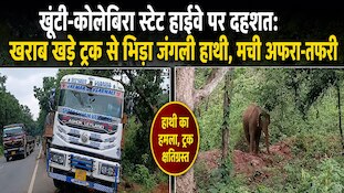 बीच सड़क पर खराब हुआ ट्रक, अचानक सामने से आ धमका गुस्साया हाथी... फिर जो हुआ!