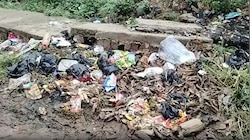 कटोरिया के महादलित टोला में गंदगी का अंबार, लाखों खर्च के दावों पर उठे सवाल