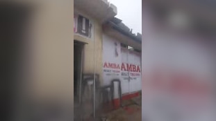 बारिश से बचने के लिए छत पर चढ़ा, सीमेंट की शेड पर पैर जमाते गिरा धड़ाम; हैरान कर देगा आवारा सांड का ये वीडियो