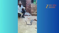 कोबरा का रेस्कयू करने पहुंचे रेस्क्यूर को तीन जगह काटा, देखें रोंगटे खड़े करने वाला वीडियो