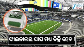 FIFA 2026: ପ୍ରିମିୟମ୍ ମୂଲ୍ୟରେ ବିକ୍ରି ହେବ ପିଚ୍ ଘାସ !