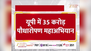 यूपी ने फिर बनाया कीर्तिमान, एक ही दिन में लगाए 35 करोड़ पौधे, सीएम योगी ने जताया अभार