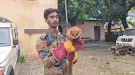 क्या आपने कभी देखी है उड़ने वाली गिलहरी? 12 साल बाद रामनगर के जंगल में दिखी 