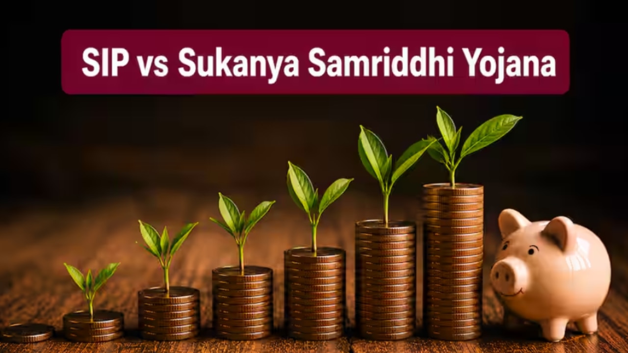 SIP vs Sukanya Samriddhi Yojana: ₹12,500 मंथली निवेश से 15 साल में कहां बनेगा ज्यादा पैसा? जानिए पूरा हिसाब-किताब
