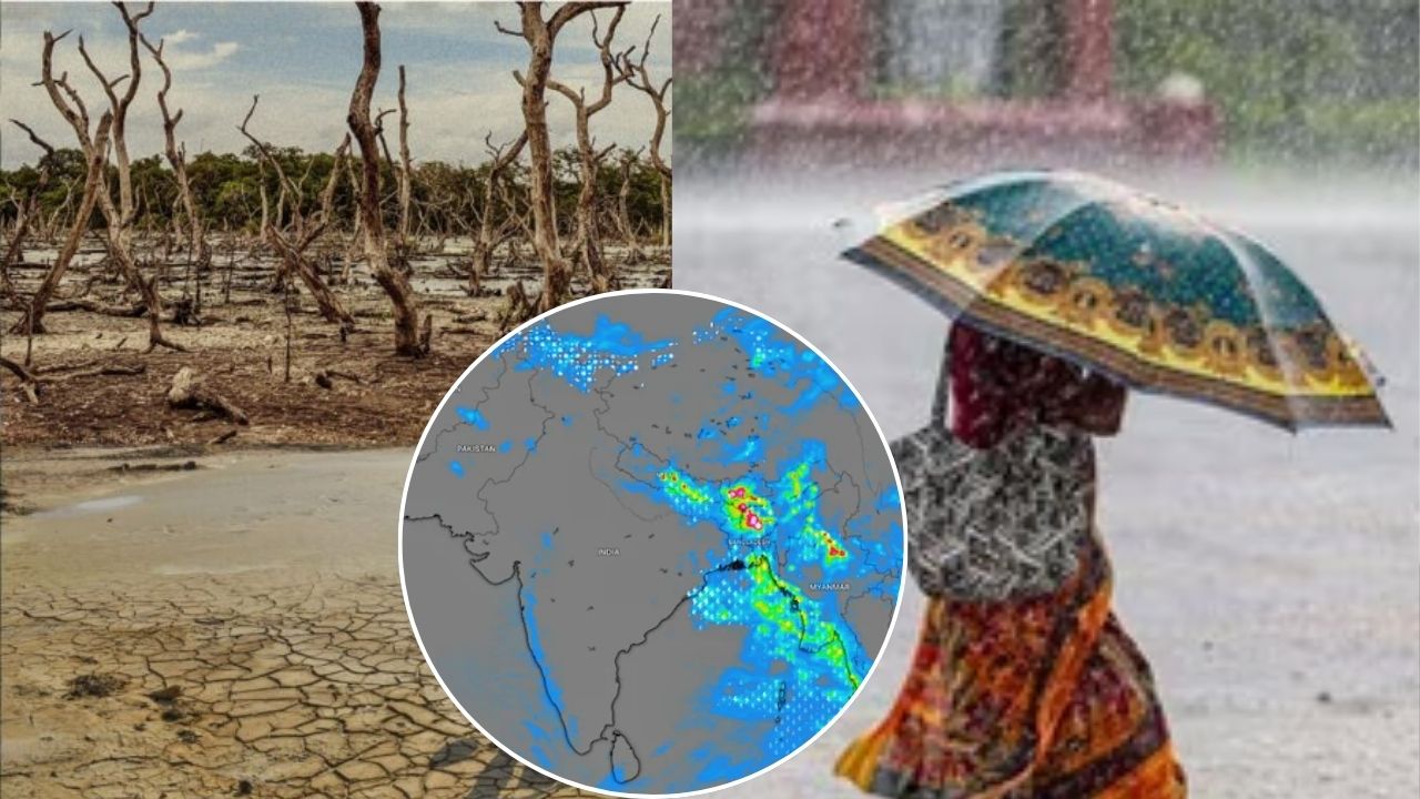 भारत में दिखने लगा अल नीनो का असर, अचानक थम गई मानसून की रफ्तार; वैज्ञानिकों ने क्या चेताया?