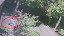 हापुड़ के रिहायशी इलाके में तेंदुए की दस्तक, आधी रात CCTV में कैद हुआ खूंखार शिकारी, दहशत में लोग