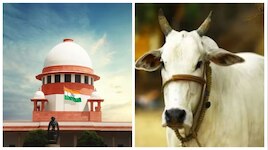 तमिलनाडु में गो-हत्या पर नहीं लगेगा बैन! सुप्रीम कोर्ट ने मद्रास हाईकोर्ट के आदेश
