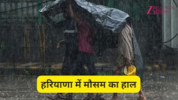 हरियाणा में मौसम का यू-टर्न, इस दिन से एक बार फिर एक्टिव होगा मानसून और होगी बारिश