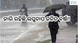 Weather News: ରାଜ୍ୟରେ ଜାରି ରହିଛି ଲଘୁଚାପ ଜନିତ ବର୍ଷା, ପ୍ରବଳ ବର୍ଷା ନେଇ ଏହିସବୁ ଜିଲ୍ଲାକୁ 