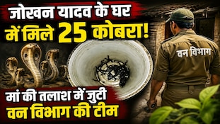 बेतिया में अलमारी खोलते ही उड़ गए होश, एक-एक कर निकले 25 कोबरा के बच्चे