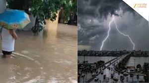 बिलासपुर में अगले 48 घंटों के लिए भारी बारिश का अलर्ट! घुटनों तक भरा पानी, 93 साल का रिकॉर्ड टूटा