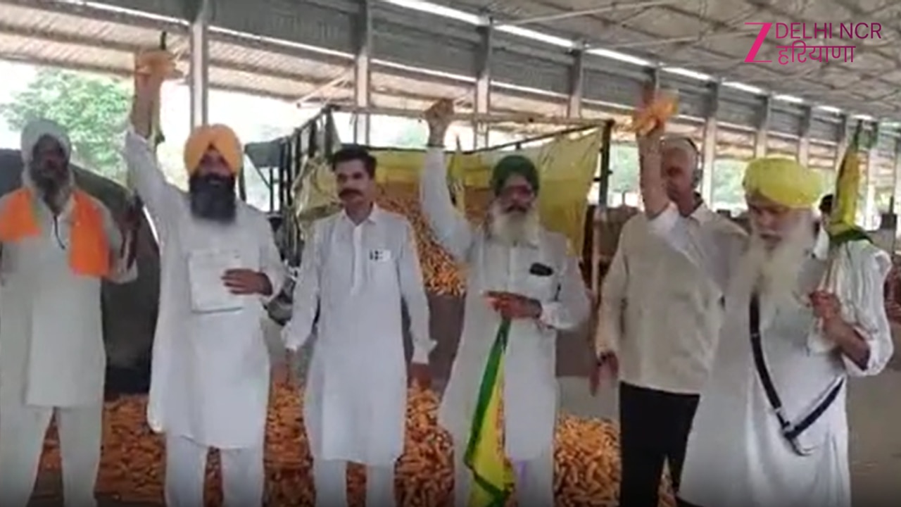 Karnal में किसानों का फूटा गुस्सा, कॉन्ट्रैक्ट फार्मिंग के नाम पर मक्का खरीद से कंपनी का इनकार, ठगी का आरोप