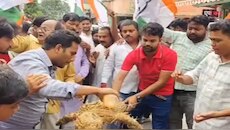 पटना के बाद अररिया में कांग्रेसियों का विरोध-प्रदर्शन, धर्मेंद्र प्रधान पुतला फूंका