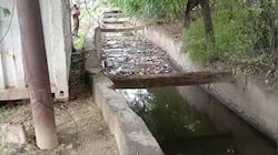 करोड़ों खर्च के बावजूद नालों में कूड़े का अंबार, बारिश से पहले खुली नगर निगम की पोल