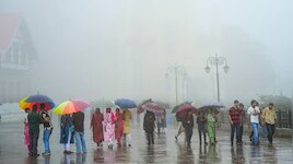 अरब सागर में बने 5 सिस्टम से मानसून फिर एक्टिव, बारिश के लिए तैयार रहें ये राज्य