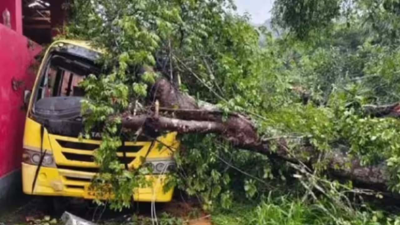 छुट्टी के बाद घर लौट रहे बच्चों की बस पर गिरा पेड़, 5 साल की मासूम की मौत और 2 बच्चे घायल; कर्नाटक में हुआ बड़ा हादसा