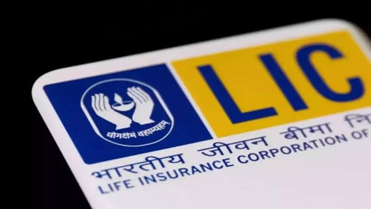 LIC ने सरकार की झोली भरी, ₹12,207 करोड़ का डिविडेंड सौंपा; वित्त मंत्री को मिला चेक