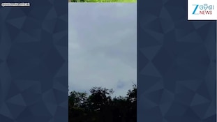 Viral Video: ଅଭିନେତ୍ରୀ ବିଦୁସ୍ମିତାଙ୍କ ଏ ଭିଡିଓ ଦେଖିଛନ୍ତି କି? ଜଙ୍ଗଲରୁ ହେଲା ଭାଇରାଲ୍