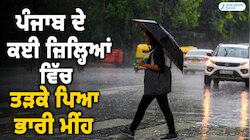 ਪੰਜਾਬ ਦੇ ਕਈ ਜ਼ਿਲ੍ਹਿਆਂ ਵਿੱਚ ਤੜਕੇ ਪਿਆ ਭਾਰੀ ਮੀਂਹ; 9 ਜ਼ਿਲ੍ਹਿਆਂ ਵਿੱਚ ਭਾਰੀ ਮੀਂਹ ਦਾ ਅਲਰਟ