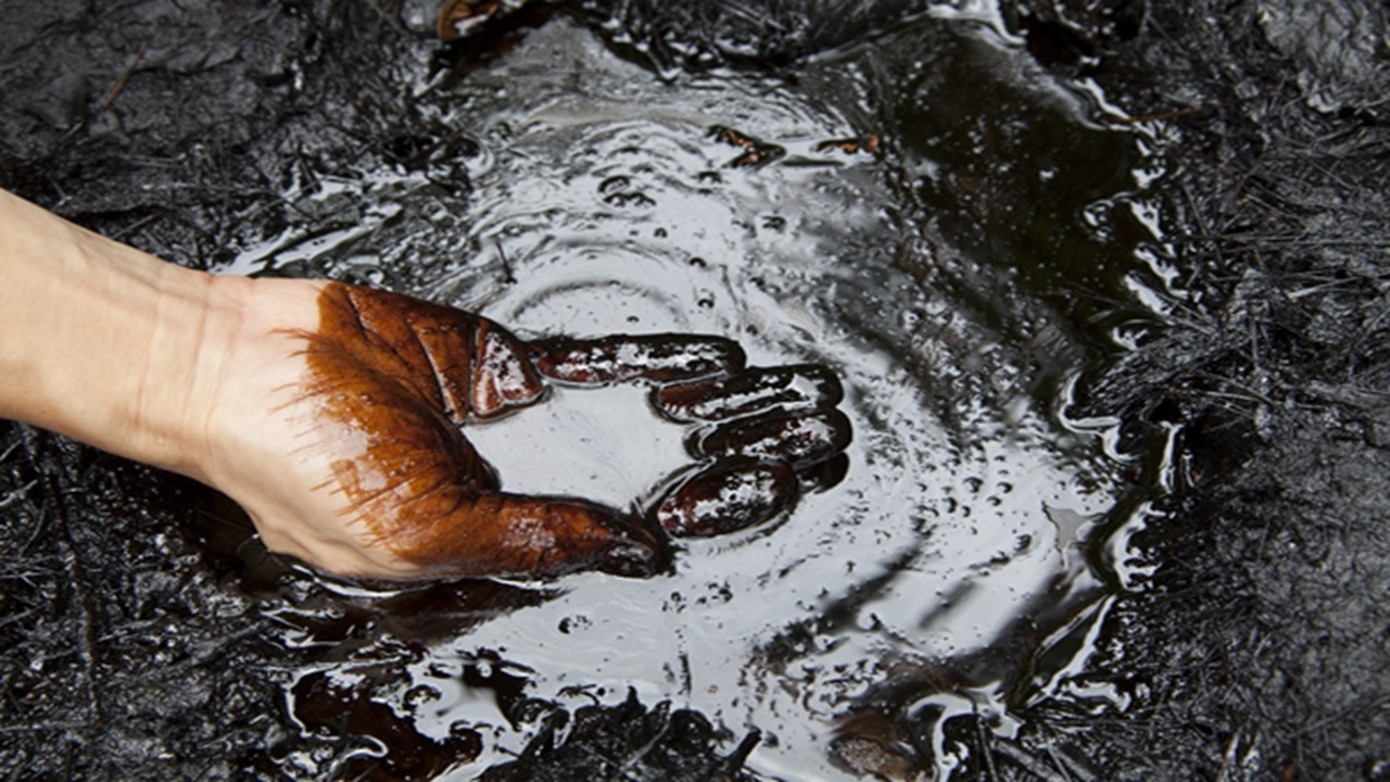 Crude Oil: गजब का खेल खेल रहा है तेल, कल धड़ाम आज फिर से तूफान...क्यों चढ़ा कच्चा तेल का भाव?