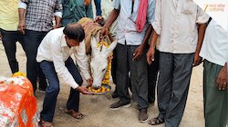 बारिश नहीं हुई तो अपनाया ये अनोखा टोटका, गधे को गुलाब जामुन खिलाकर निकाला जुलूस