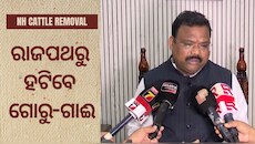 NHରେ ଆଉ ବୁଲିବେନି ଗୋରୁ-ଗାଈ! ଦୁର୍ଘଟଣା ରୋକିବାକୁ ସରକାରଙ୍କ ବଡ଼ ପଦକ୍ଷେପ