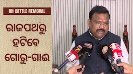 NHରେ ଆଉ ବୁଲିବେନି ଗୋରୁ-ଗାଈ! ଦୁର୍ଘଟଣା ରୋକିବାକୁ ସରକାରଙ୍କ ବଡ଼ ପଦକ୍ଷେପ