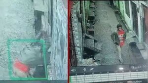 17 बार गंडासे से वार... पत्नी के प्रेमी ने किया युवक का कत्ल, सामने आया सनसनीखेज वीडियो