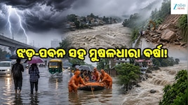 Heavy Rain Alert: ଝଡ଼-ପବନ ସହ ମୁଷଳଧାରା ବର୍ଷା! ଏହି ସବୁ ଜିଲ୍ଲା ପାଇଁ IMDର ଆଲର୍ଟ