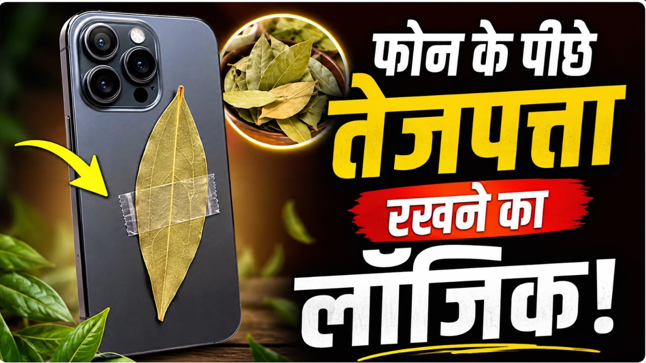 फोन के पीछे तेजपत्ता क्यों चिपका रहे हैं लोग? जानिए इस टोटके के पीछे क्या है लॉजिक