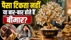 पैसा टिकता नहीं या बार-बार होते हैं बीमार? घर में इस जगह रख लें क्रिस्टल ट्री