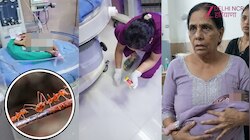 Sirsa में NICU में भर्ती नवजात पर चढ़ीं चींटियां, अस्पताल में परिजनों किया हंगामा