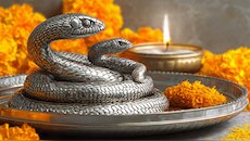 नाग पंचमी पर क्यों करते हैं चांदी के नाग-नागिन का दान; जानें इससे जुड़े 3 अचूक उपाय