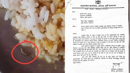 मोतिहारी: अरेराज में मिड-डे मील में फिर से निकला कीड़ा, NGO के खिलाफ जांच के निर्दश